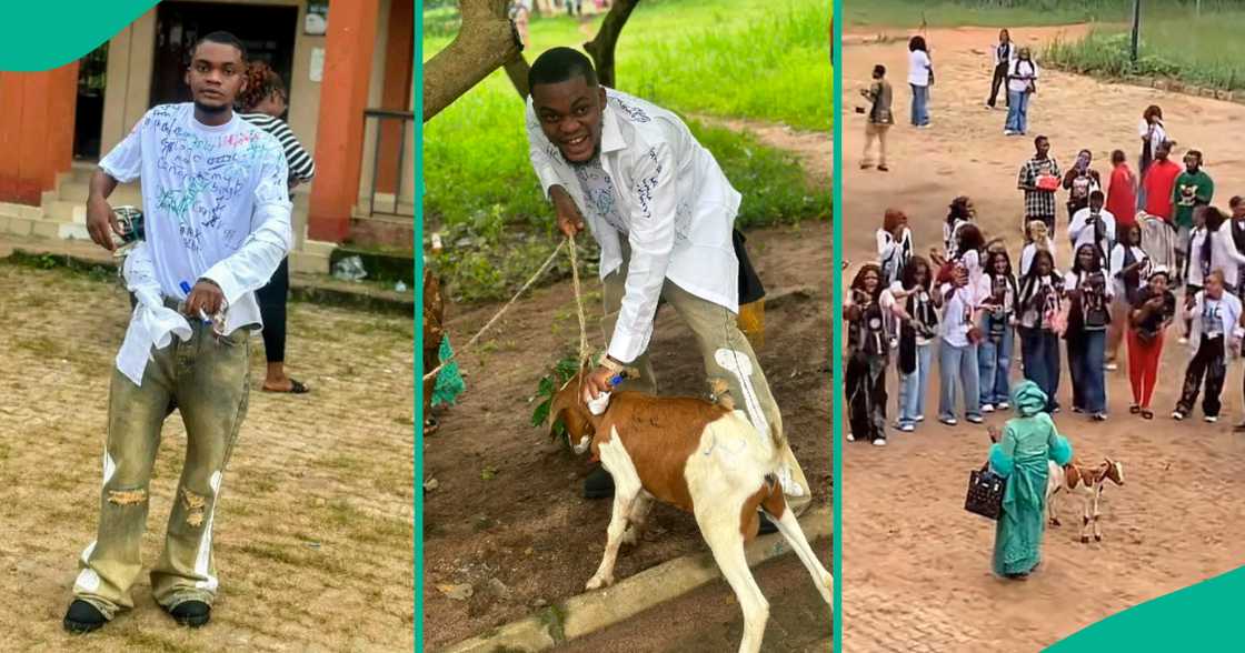 Graduate reacts after mum brought live goat to his sign-out celebration.