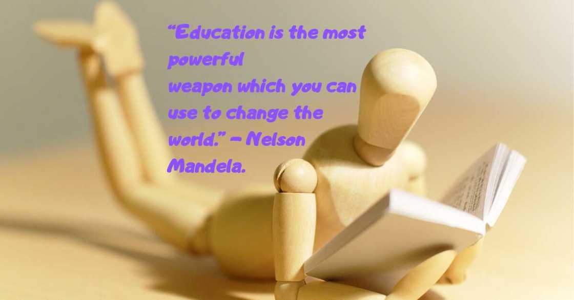 Teacher quote Teacher quote