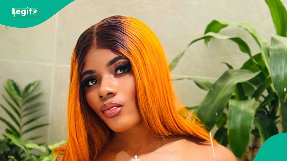 Lady shares what Usman Nuhu did to her in 2024, fans react Lady shares what Usman Nuhu did to her in 2024, fans react