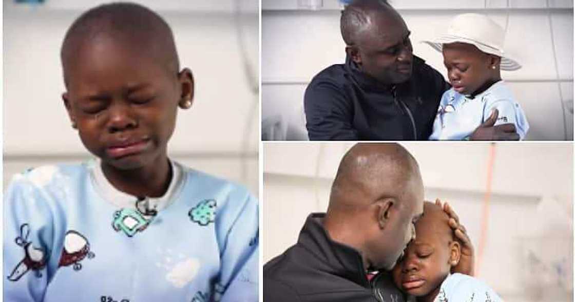 Scammers, Alexandria Scammers, Alexandria