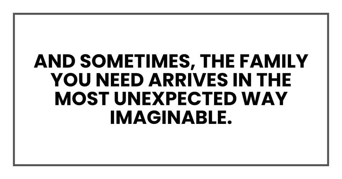 And sometimes, the family you need arrives in the most unexpected way imaginable. And sometimes, the family you need arrives in the most unexpected way imaginable.