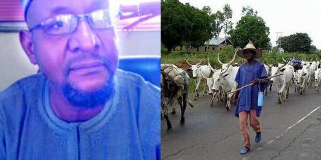 New Sunday Igboho? Anxiety as Fulani activist threatens to banish Yoruba from north New Sunday Igboho? Anxiety as Fulani activist threatens to banish Yoruba from north