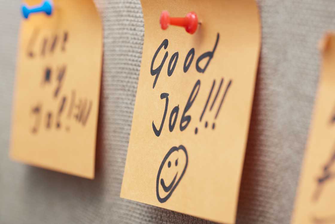 Notes pinned on a wall