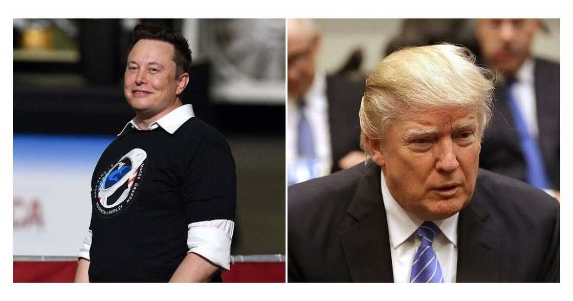Elon Musk, Twitter, Donald Trump Elon Musk, Twitter, Donald Trump