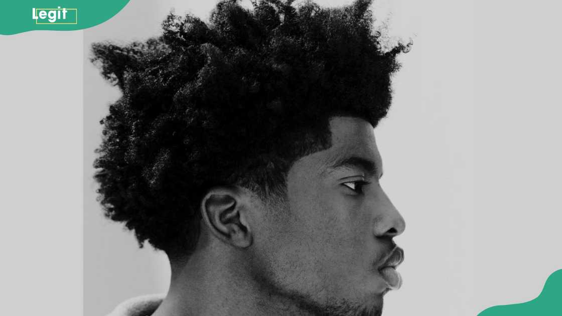 Thick voluminous shag Afro Thick voluminous shag Afro