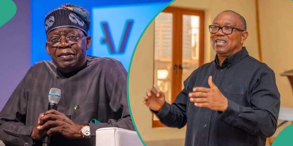 Peter Obi, Tinubu, Dubai summit, UAE, 1,411 delegates,COP28 summit Peter Obi, Tinubu, Dubai summit, UAE, 1,411 delegates,COP28 summit