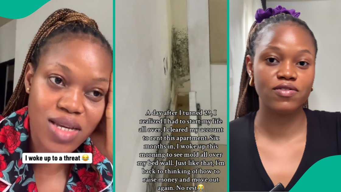 Lady laments seeing mould all over bed wall of her new apartment, shares sad video Lady laments seeing mould all over bed wall of her new apartment, shares sad video