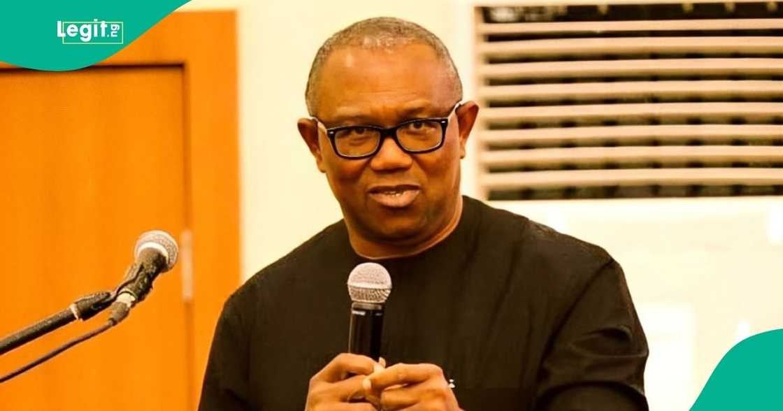 Peter Obi explains why politicians engage in vote buying.