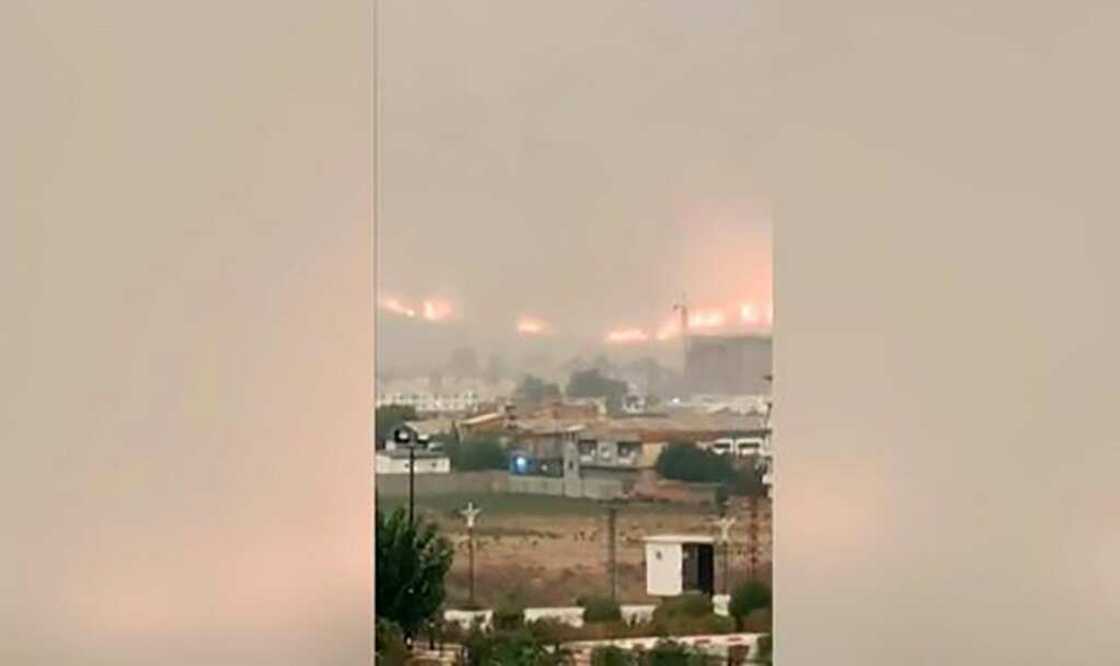 Forest fires have become an annual scourge in the North African country, where climate change is turning large areas into a tinderbox Forest fires have become an annual scourge in the North African country, where climate change is turning large areas into a tinderbox