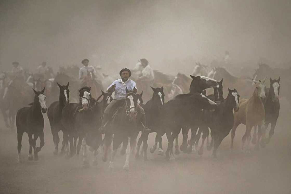 Every year, thousands of people from all over Argentina flock to San Antonio de Areco to see gauchos strut their stuff at the Festival of Tradition Every year, thousands of people from all over Argentina flock to San Antonio de Areco to see gauchos strut their stuff at the Festival of Tradition