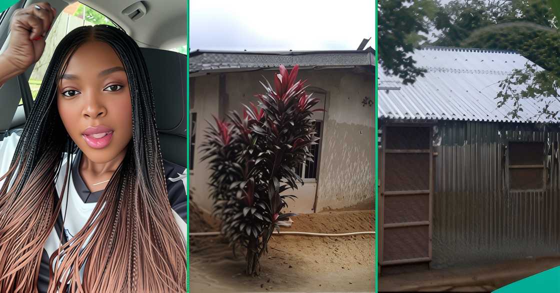 A Nigerian lady got people talking with the new zinc house she erected in her father’s compound. A Nigerian lady got people talking with the new zinc house she erected in her father’s compound.