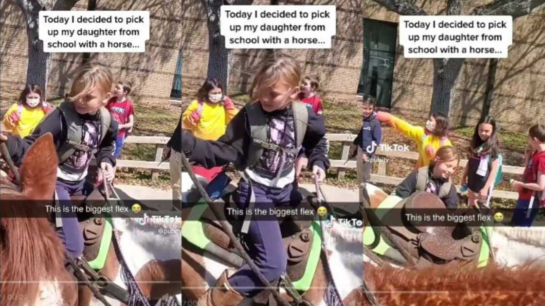 School girl climbs horse School girl climbs horse