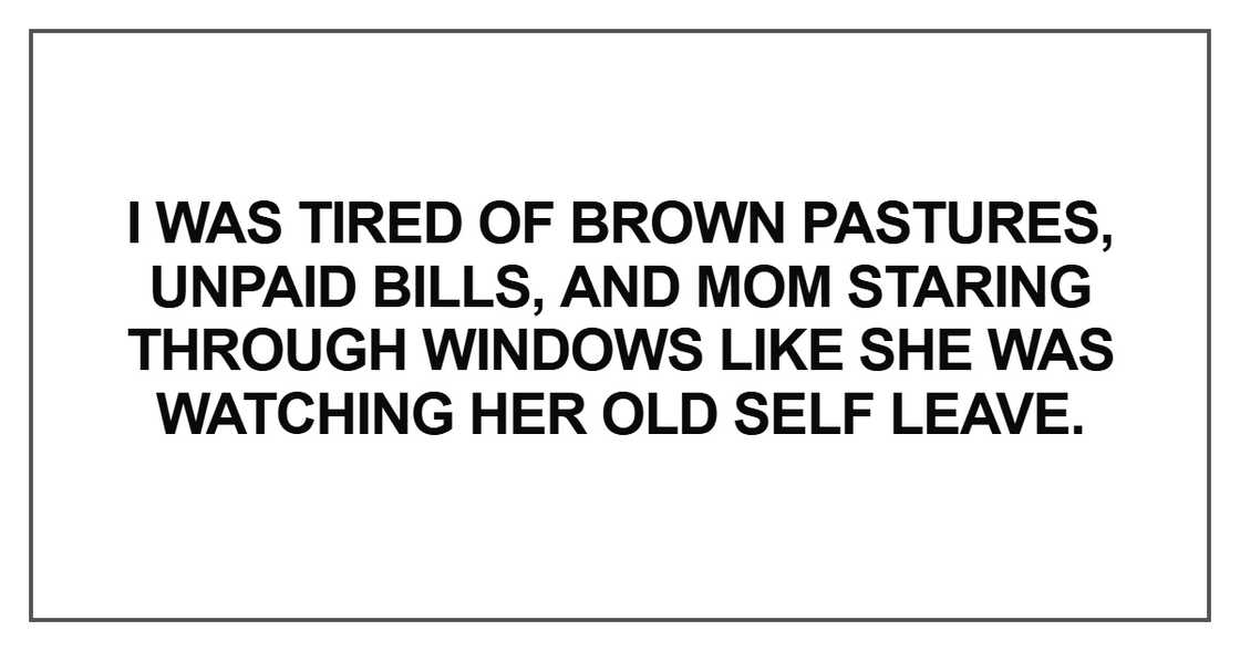 I was tired of brown pastures, unpaid bills