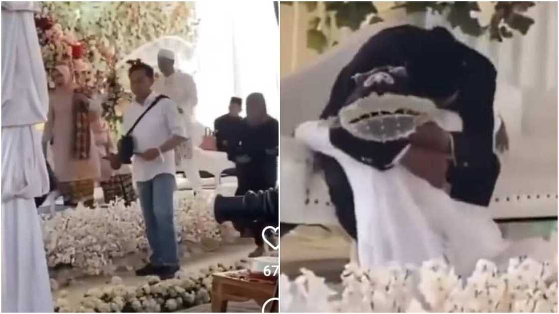 Amarya ta mutu Amarya ta mutu