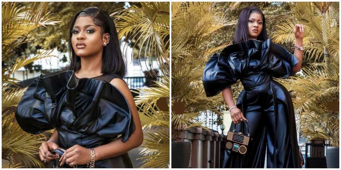 Phyna's photos. Phyna's photos.