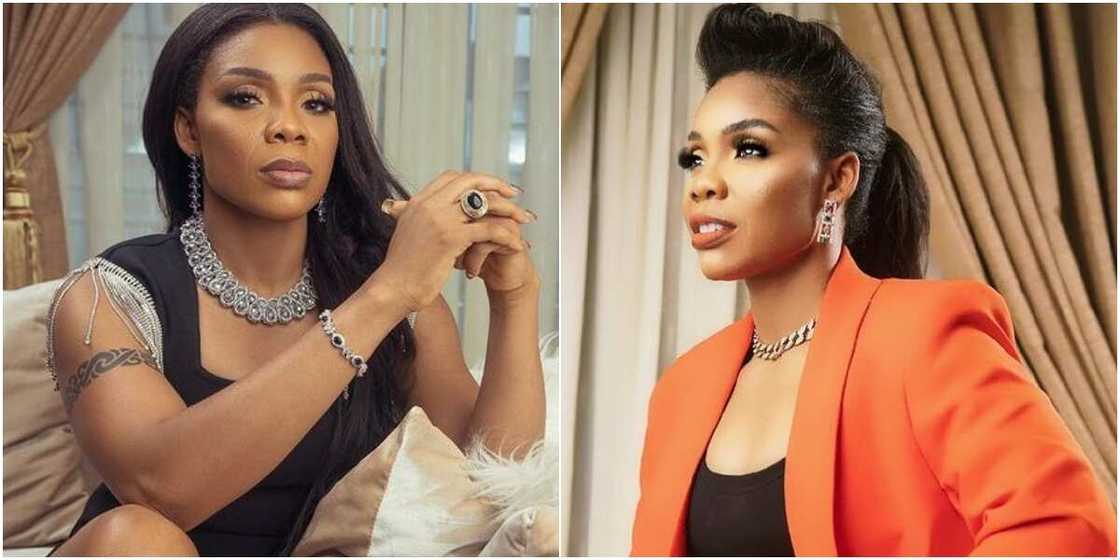 Dancer Kaffy Dancer Kaffy