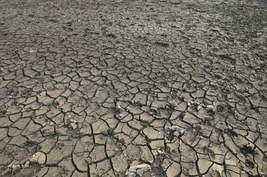 European Commission researchers say nearly half of the EU's land is under threat from drought European Commission researchers say nearly half of the EU's land is under threat from drought