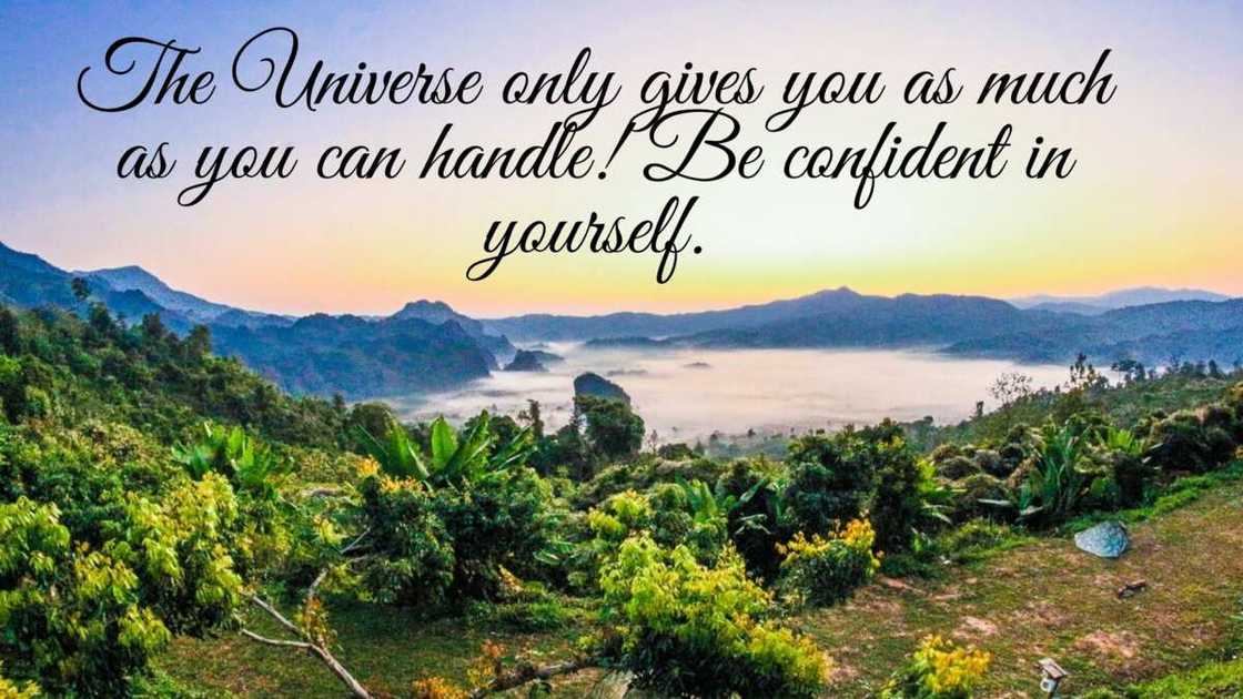 have a beautiful day have a beautiful day