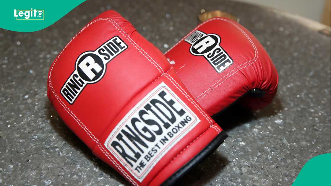 Boxing gloves. Boxing gloves.