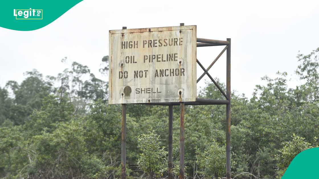 Tinubu pipeline contract review, Tantita Security Services Nigeria Limited, Niger Delta stakeholders, pipeline surveillance Nigeria, oil theft Nigeria, Niger Delta oil security, transparency in oil sector Nigeria Tinubu pipeline contract review, Tantita Security Services Nigeria Limited, Niger Delta stakeholders, pipeline surveillance Nigeria, oil theft Nigeria, Niger Delta oil security, transparency in oil sector Nigeria