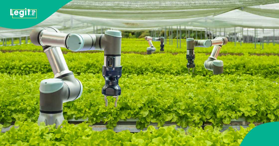 Researchers reveal how robots can get new abilities through plants. Researchers reveal how robots can get new abilities through plants.