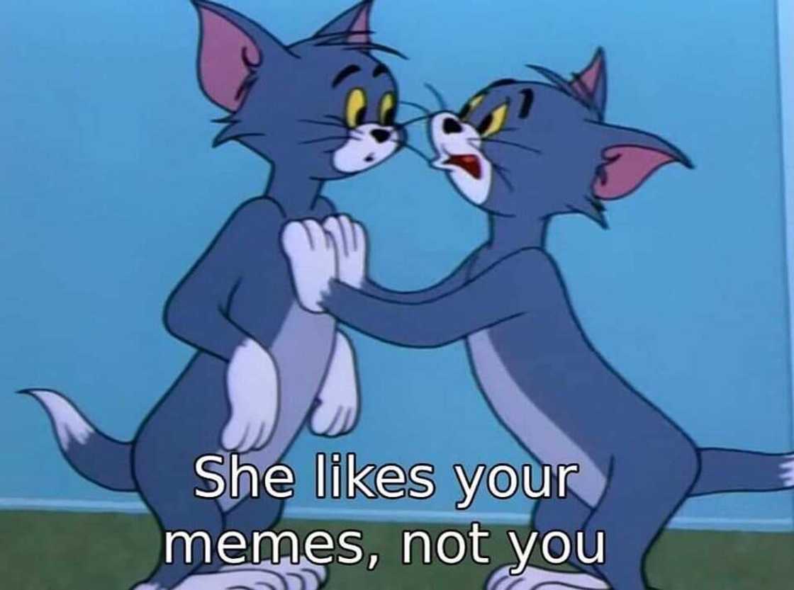 funny flirty memes for her funny flirty memes for her
