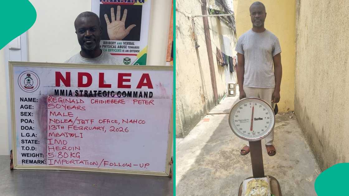 NDLEA nets Reginald Peter Chidiebere over controversial shipments linked to him. NDLEA nets Reginald Peter Chidiebere over controversial shipments linked to him.