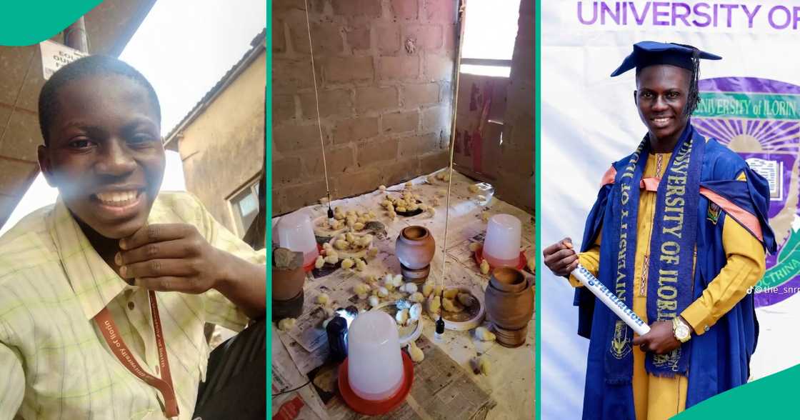 Poultry farming in Nigeria/Fish farming Poultry farming in Nigeria/Fish farming