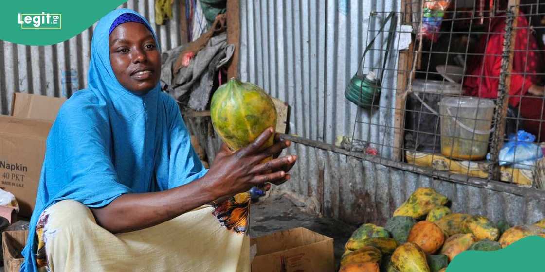 Food security/Food security Nigeria/Food security in Nigeria Food security/Food security Nigeria/Food security in Nigeria