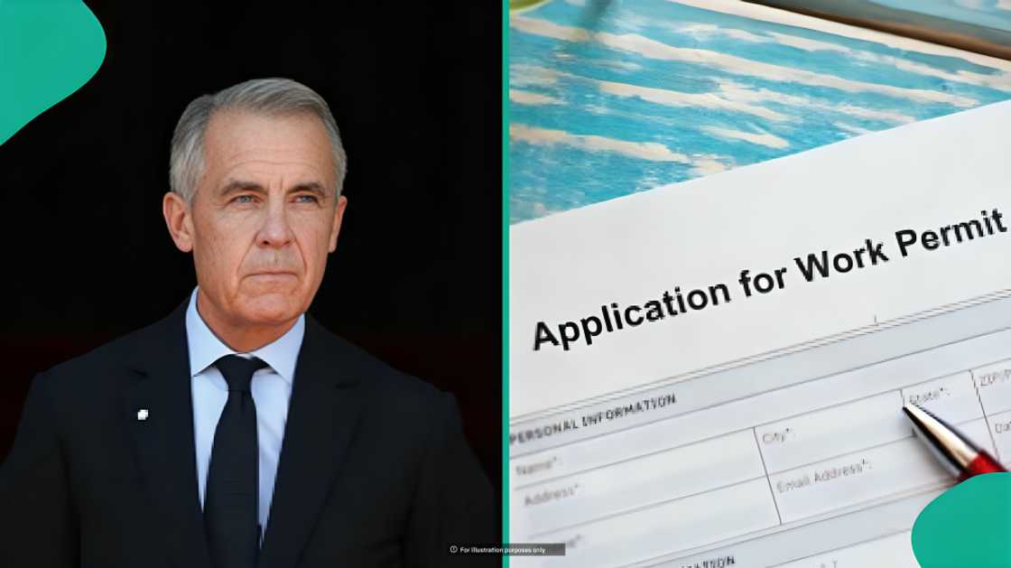 Canada lists 3 categories of foreigners who do not pay fee for study permit