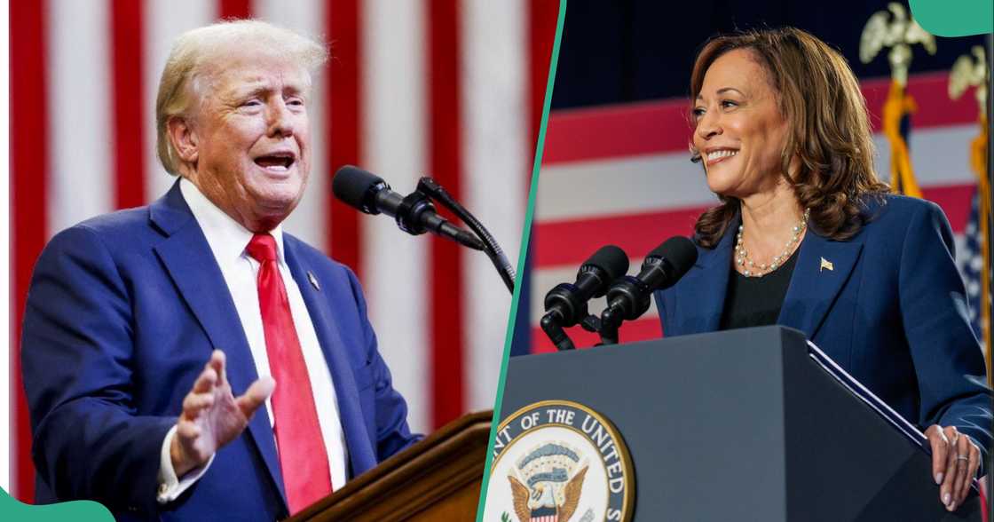 US election: Nearly 25 million votes cast as Donald Trump and Kamala Harris hit battleground states