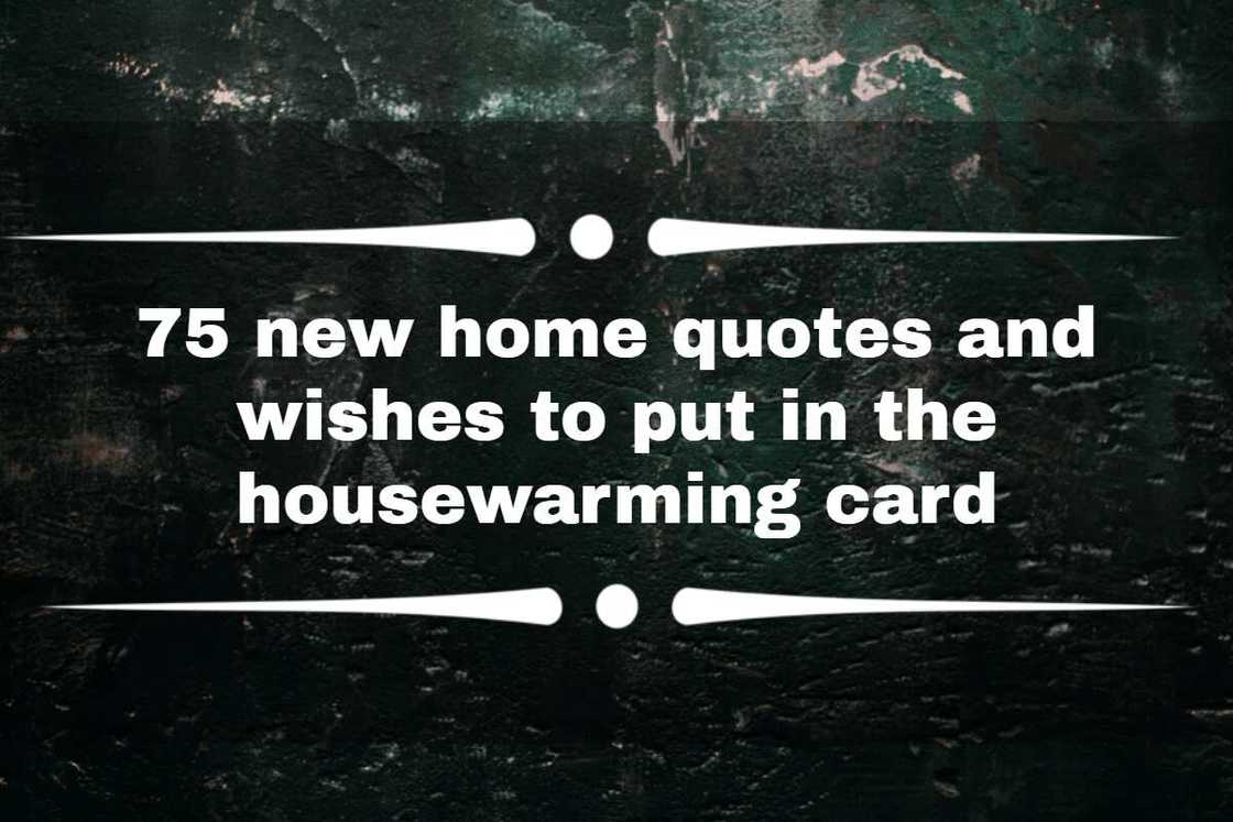 New home quotes