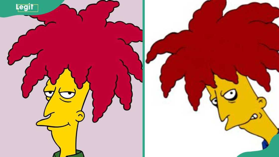 Sideshow Bob with red hair Sideshow Bob with red hair