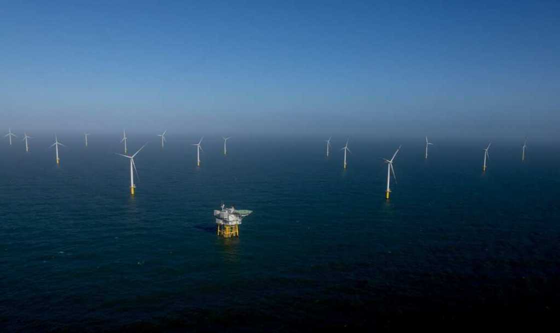 Olaf Scholz has said Germany needs to install 'four to five wind turbines a day' to meet its climate targets Olaf Scholz has said Germany needs to install 'four to five wind turbines a day' to meet its climate targets