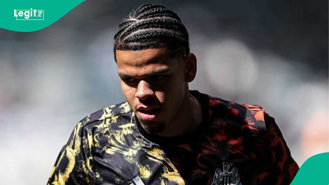 William Osula, NFF, Nigeria, Super Eagles, Newcastle United, Premier League William Osula, NFF, Nigeria, Super Eagles, Newcastle United, Premier League