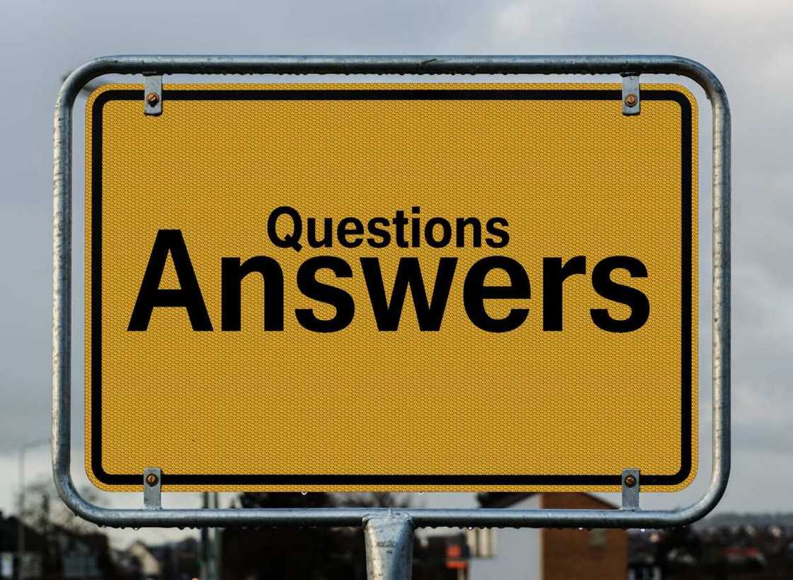 random questions to ask random questions to ask