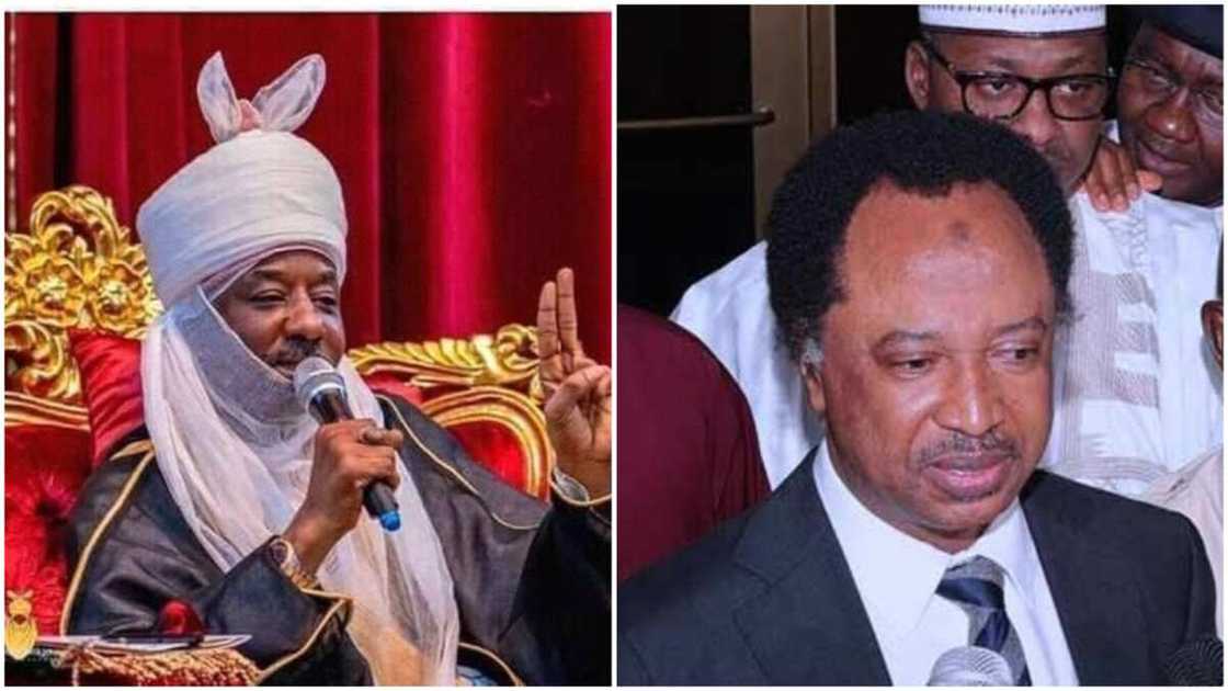 Kano emir: Shehu Sani gives Sanusi key advice after dethronement Kano emir: Shehu Sani gives Sanusi key advice after dethronement