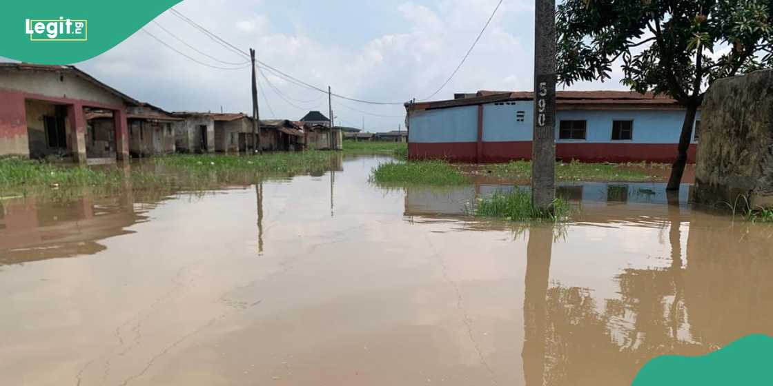 Kogi state government seeks help over flooding crisis