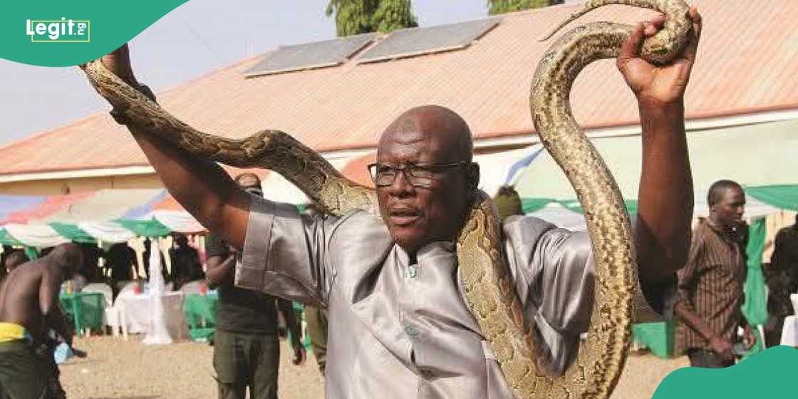 APC suspends Kebbi governor’s aide for intimidating guests with snake APC suspends Kebbi governor’s aide for intimidating guests with snake