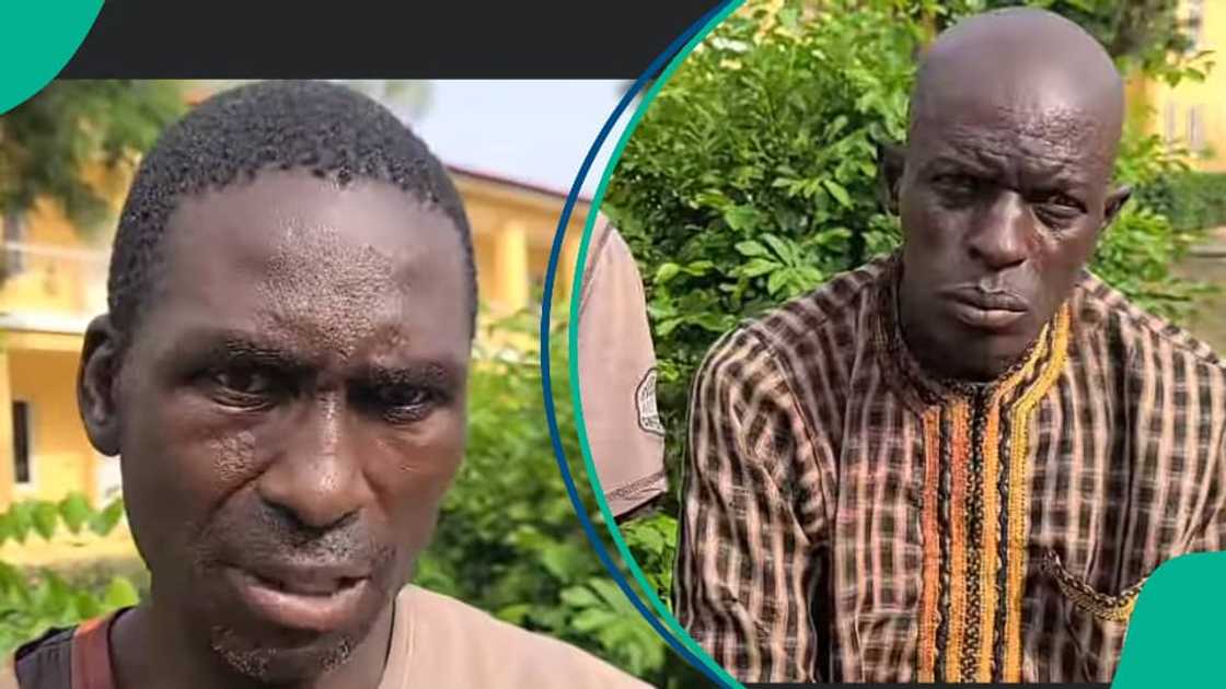 Kidnappers Kidnappers