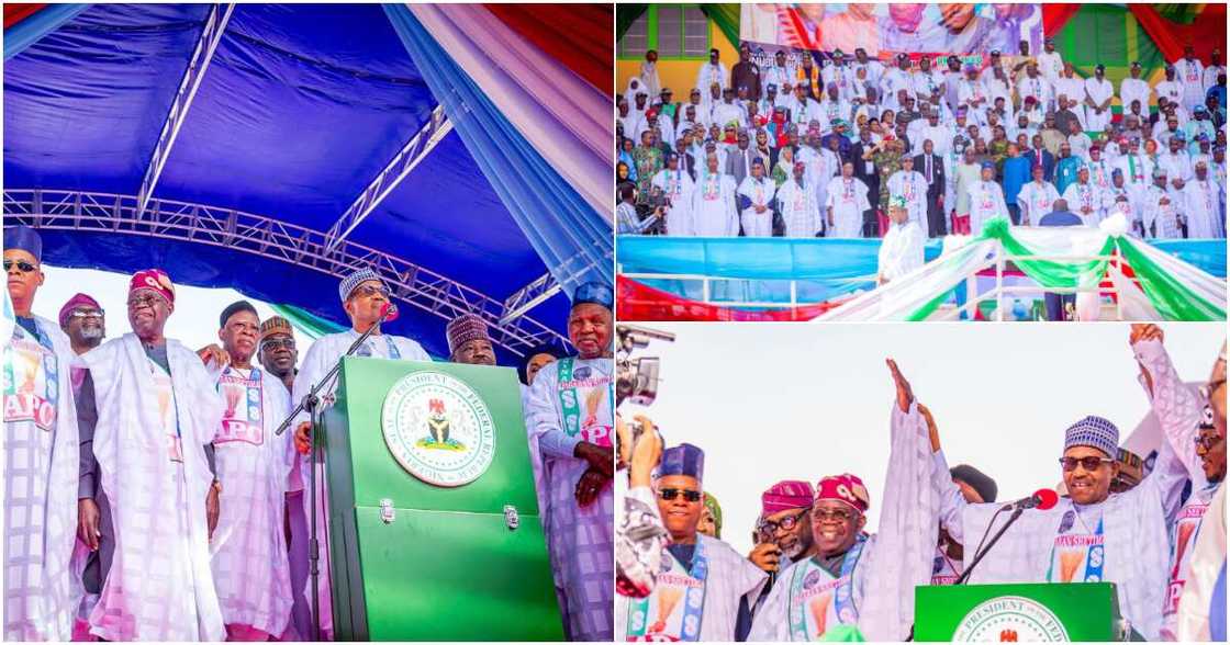 2023 presidential election, Bola Tinubu, APC, Katsina state 2023 presidential election, Bola Tinubu, APC, Katsina state