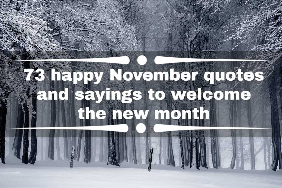 November quotes