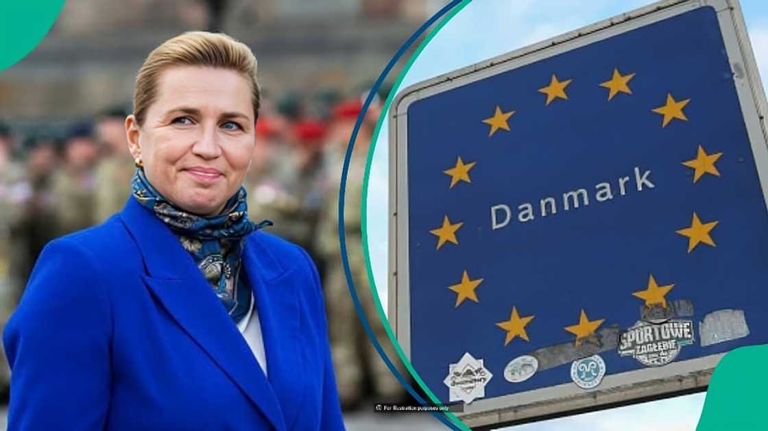 Denmark lists 5 of degrees eligible for job-seeking residence permit