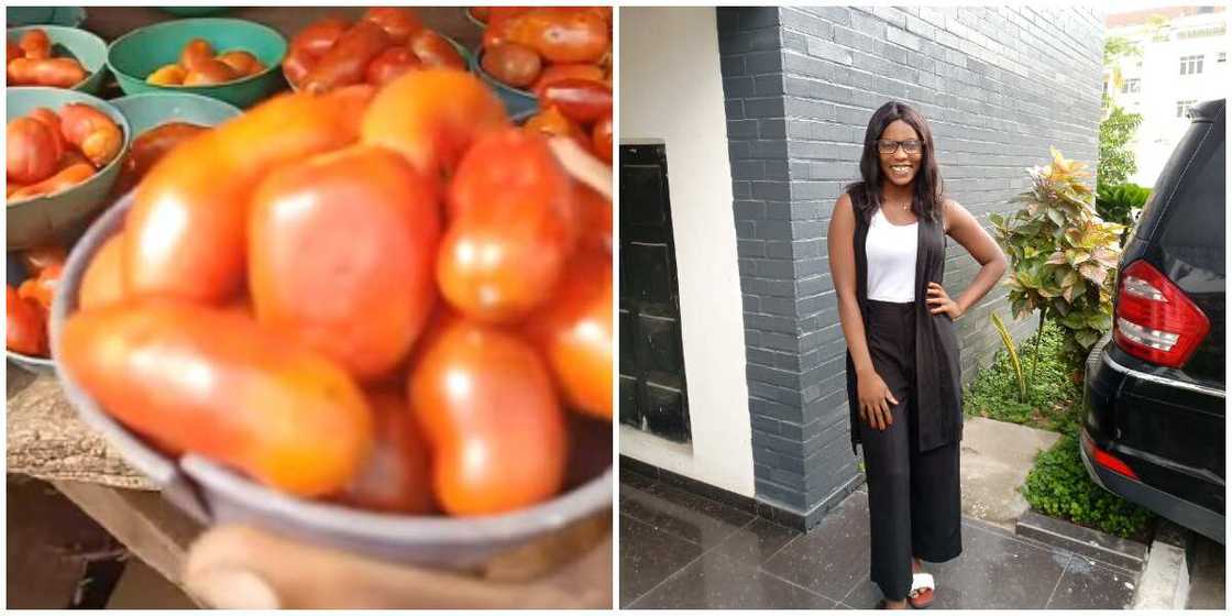 Reactions as lady shows off tomatoes being sold for N100 on street, video generates reactions Reactions as lady shows off tomatoes being sold for N100 on street, video generates reactions