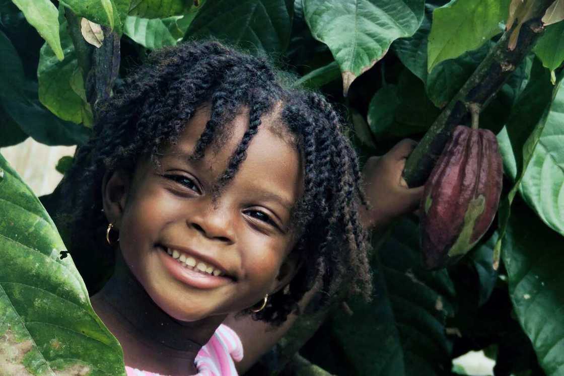 beginner easy toddler hairstyles beginner easy toddler hairstyles