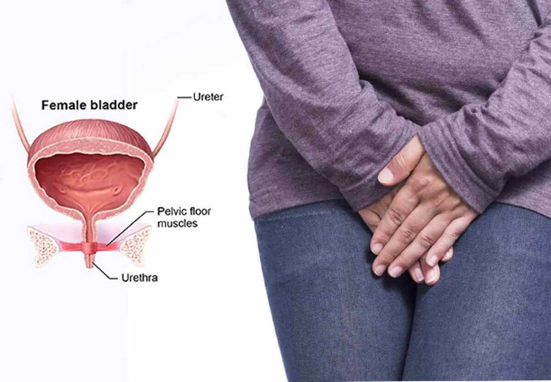 Rike Fitsari Rike Fitsari