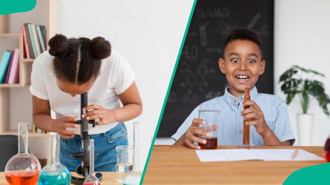 Students working on science projects