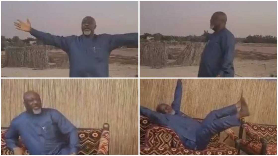 Dino Melaye excited as he visits farm in Dubai (video)