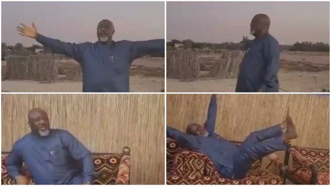 Dino Melaye excited as he visits farm in Dubai (video) Dino Melaye excited as he visits farm in Dubai (video)