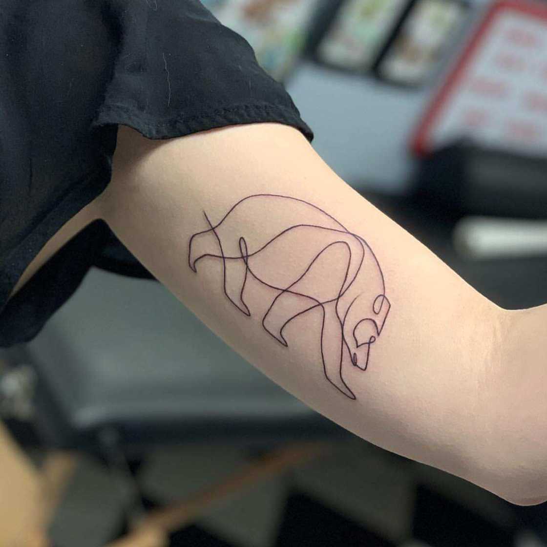 bear outline tattoo bear outline tattoo